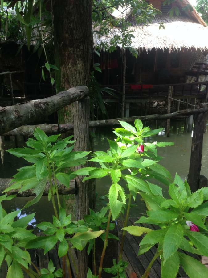 Mayom Garden (Adults Only) Ko Pha Ngan Ngoại thất bức ảnh